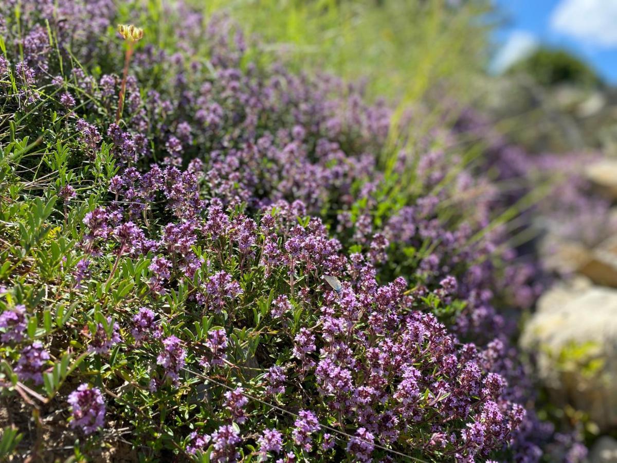 Gite En Haute Provence Montfroc 외부 사진
